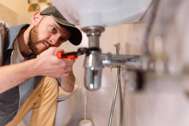 Best Commercial Plumbing Services  in Mead, CO